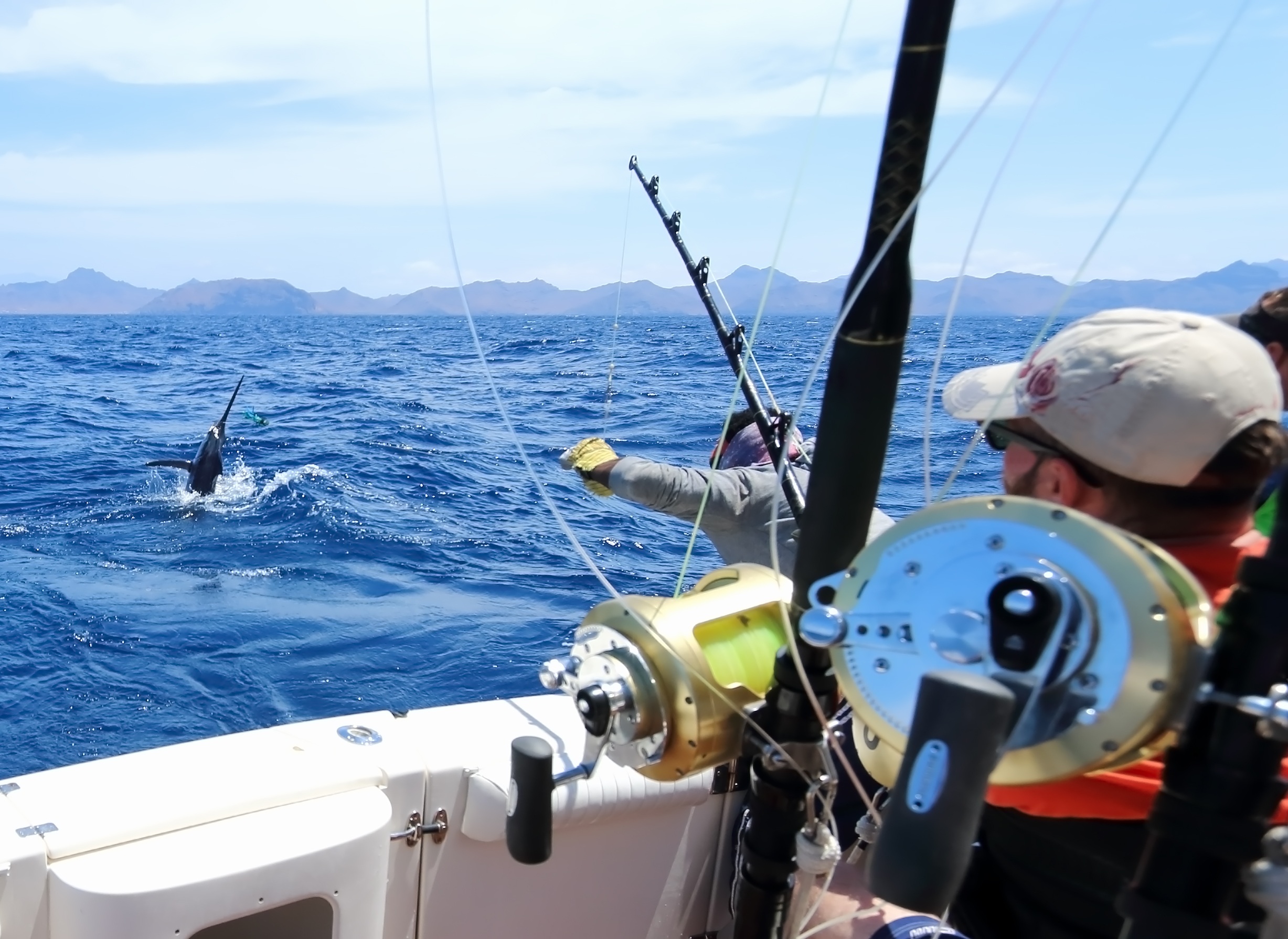 From Yellowtail to Marlin: What You Can Catch in Loreto, Baja California Sur